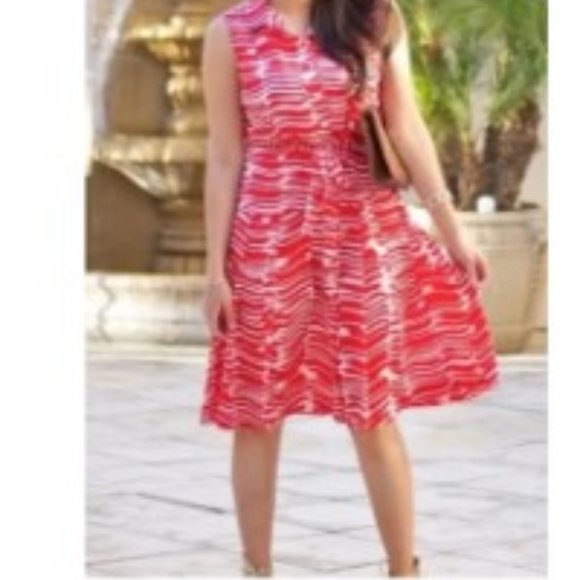 CAbi Dresses & Skirts - CAbi S Brushstroke Drop Waist Pleated Dress New in Red and White NWT